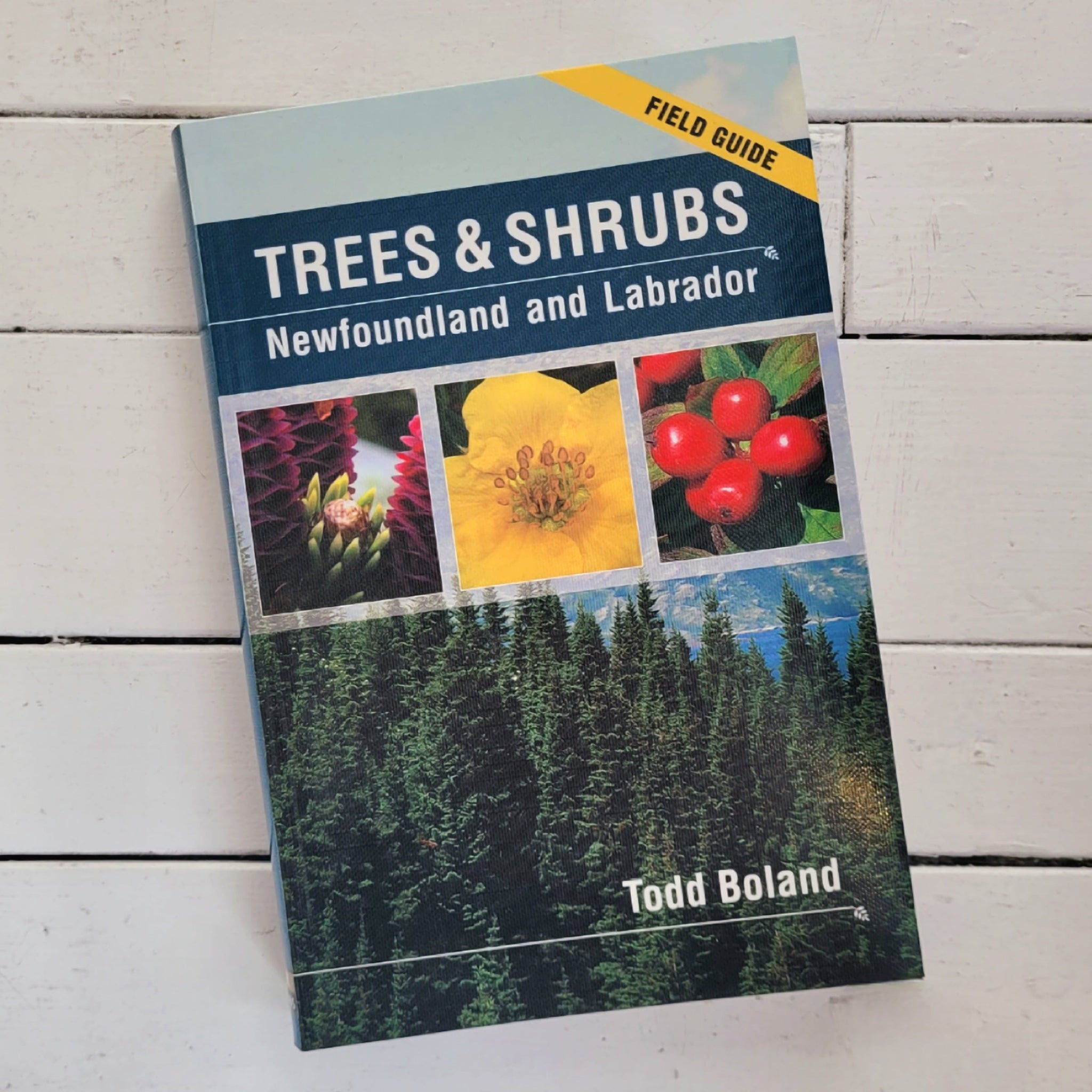 Trees and Shrubs of Newfoundland – Legend Tours Ltd