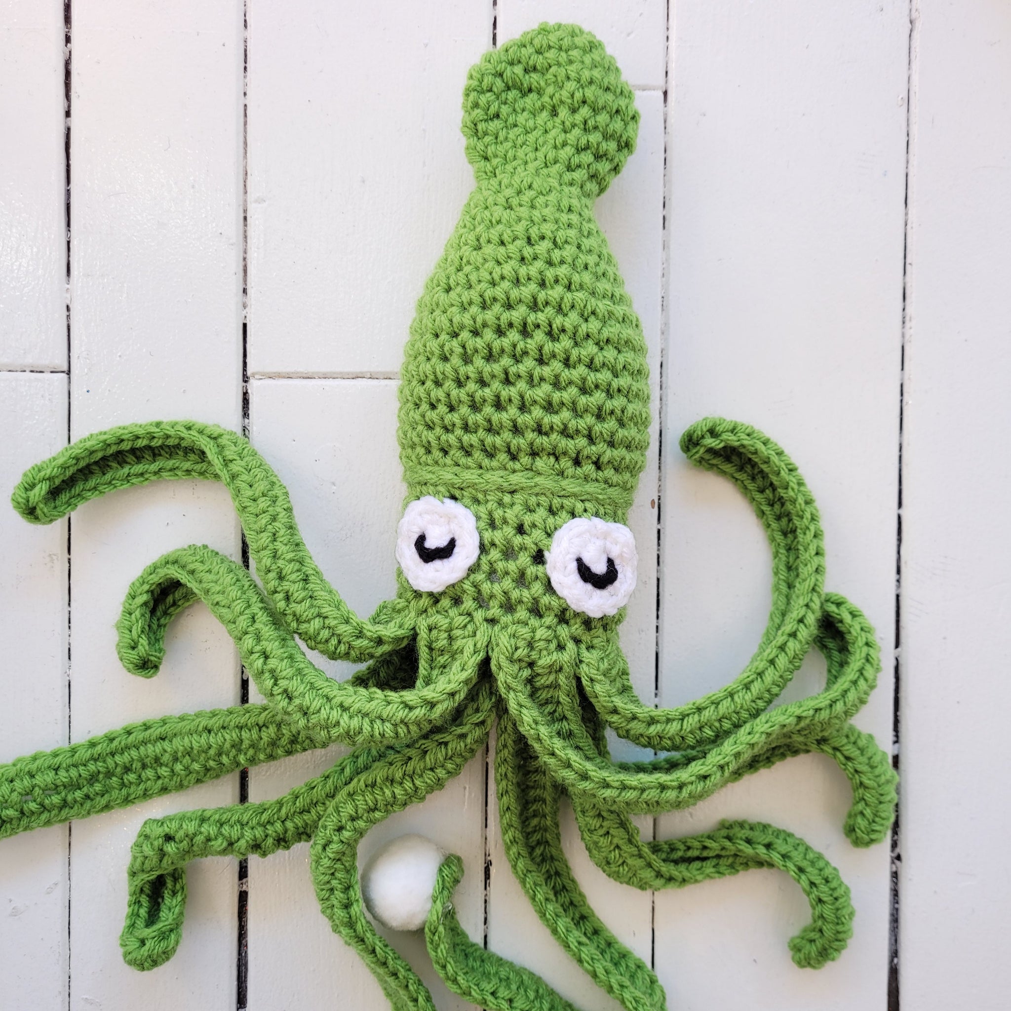 Squid
