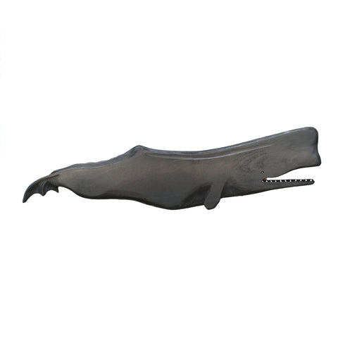 Sperm whale hand carved and painted in Stephenville, Newfoundland and Labrador.